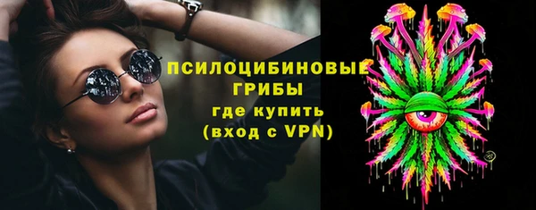 бошки Белокуриха