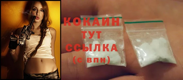 бошки Белокуриха