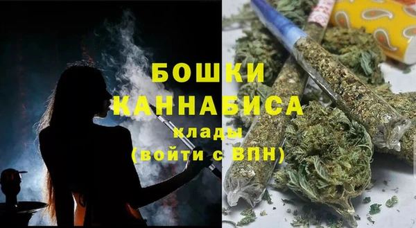 бошки Белокуриха