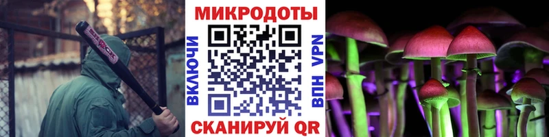 как найти   Няндома  Галлюциногенные грибы MAGIC MUSHROOMS 