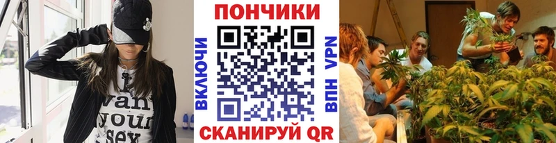 Бошки Шишки AK-47  Няндома 